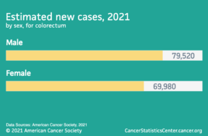 Estimated new cases 2021 by sex