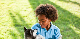 Little boy (7 years) holding husky puppy.