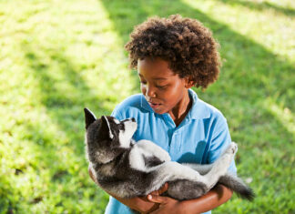 Little boy (7 years) holding husky puppy.