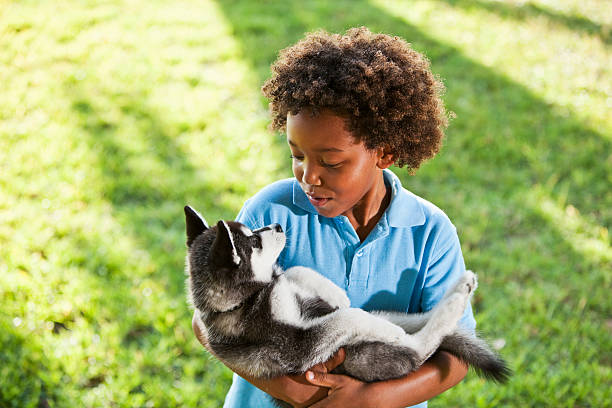 Little boy (7 years) holding husky puppy.