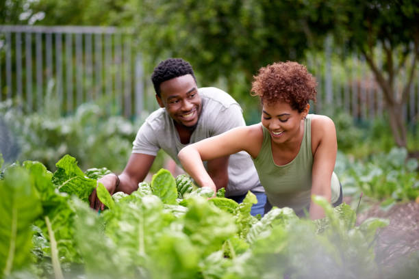 Cropped shot of an affectionate young couple working in a vegetable garden