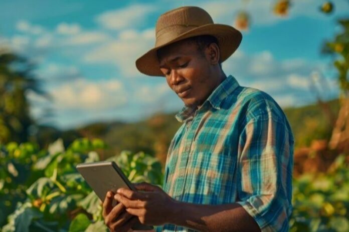 black man harvesting vegetables